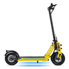 BISON GT-48V 13AH 800W ELECTRIC SCOOTER