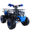 MINI QUAD ELECTRICO PANDA 1000W 36V R6