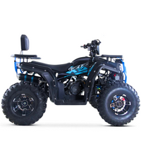 QUAD ATV 250CC 4T ZIZ RACING VIPER R10_5601.jpg