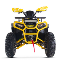 QUAD ATV 250CC 4T ZIZ RACING VIPER R10_5602.jpg