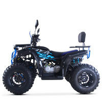 QUAD ATV 250CC 4T ZIZ RACING VIPER R10_5605.jpg