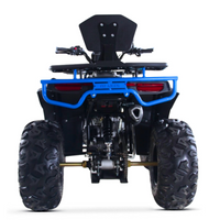QUAD ATV 250CC 4T ZIZ RACING VIPER R10_5609.jpg